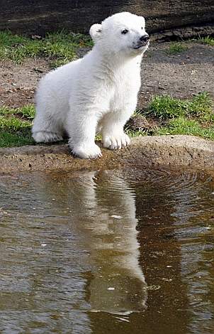 CAPOGIRO JUNIOR: ENNESIMO DEJA VU ESTIVO