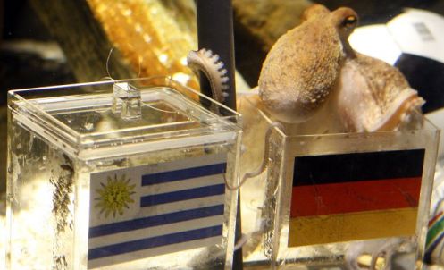 UN POLPO DI NOME PAUL, UN AGENTE DI NOME LELE