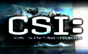 ASCOLTI SKY DI GIOVEDI 7 OTTOBRE 2010: CSI E’ IL PROGRAMMA PIU’ VISTO CON 361.000 SPETTATORI.