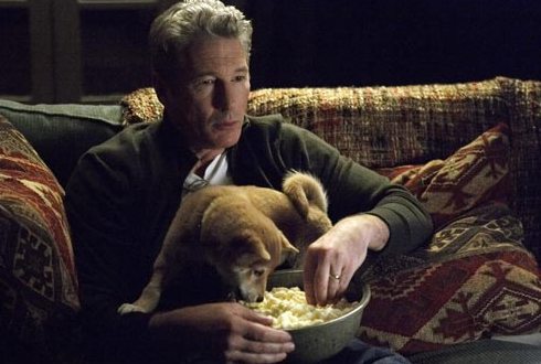 ASCOLTI SATELLITE DI VENERDI 24 DICEMBRE 2010: IL COMMOVENTE FILM HACHIKO INTERESSA 260.000 SPETTATORI.