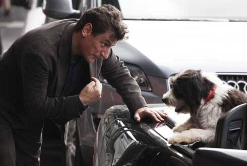 ASCOLTI TV DI GIOVEDI 23 DICEMBRE 2010: UN CANE PER DUE (19.38%) BATTE LO SPECIALE DI SUPERQUARK (14.95%). ESORDIO TIEPIDO PER LA SETTA (8.34%) SUPERATA DA FOCUSUNO (10.28%).