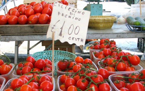 BONTA’ LORO, ALESSANDRO DI PIETRO DICHIARA GUERRA AL POMODORO PACHINO: LO PRODUCE LA MAFIA. ED E’ POLEMICA