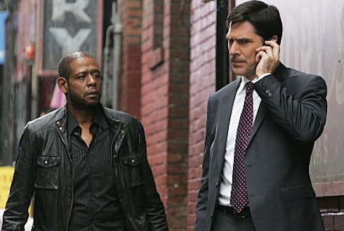 ASCOLTI SATELLITE DI VENERDI 27 MAGGIO 2011: BUON RISULTATO PER ‘CRIMINAL MINDS’ (435.000 SPETTATORI) E IL SIGNORE DEGLI ANELLI – IL RITORNO DEL RE (405.000)