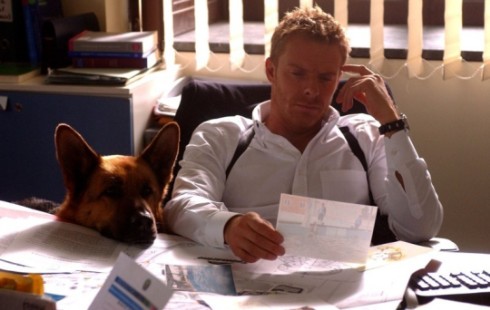 ASCOLTI TV DI MARTEDI 26 LUGLIO 2011: REX IN REPLICA SFIORA I 4 MLN (18%). L’AUDI CUP AL 12.7%. ESTATE IN DIRETTA AL 23%