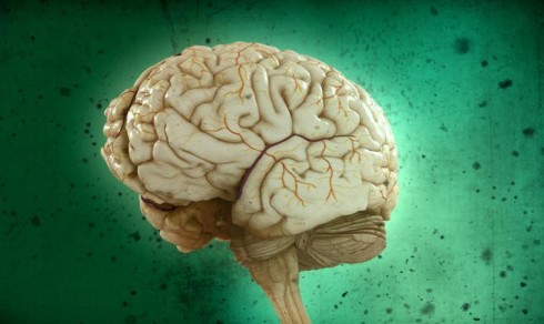 ASCOLTI SATELLITE DI MERCOLEDI 9 NOVEMBRE 2011: XFACTOR SUPERA IL MILIONE CON I DATI DIFFERITI