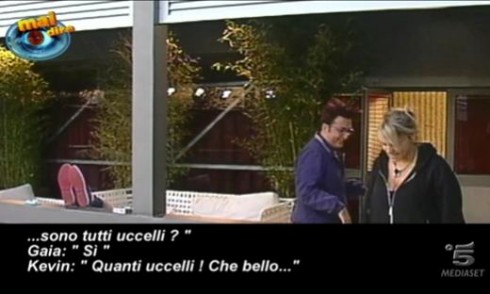 MAI DIRE GRANDE FRATELLO: I CONCORRENTI DI QUEST’EDIZIONE UN DRAPPELLO DI INUTILI CIOFECHE. SONO COSI’ SCIAPI CHE NEMMENO I PARENTI LI RICONOSCONO
