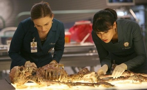 BONES: LA SESTA STAGIONE RIPRENDE QUESTA SERA SU RETE4