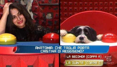 GRANDE FRATELLO 12: MANCO I CANI…