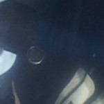 Costa Concordia - la scarpe di Domnica Cermontan