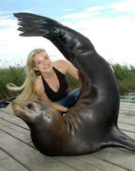 RAI2: E’ INIZIATO IL DAY TIME ESTIVO ALL SERIES CON LA FOCA ROBBIE, SENZA TRACCIA E THE GOOD WIFE