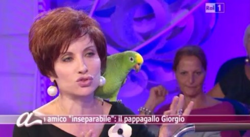 DM LIVE24: 23 SETTEMBRE 2012. CLAUDIO AMENDOLA VS PARIS HILTON, ALDA D’EUSANIO E’ TORNATA