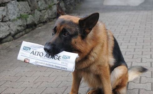 REX: IN ARRIVO UN NUOVO COMMISSARIO E AMBIENTAZIONI ALTO-ATESINE PER RECUPERARE IL PUBBLICO PERDUTO