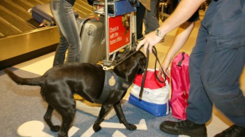 Airport Security - DMAX Airport Security - DMAX