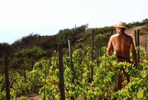 CENTOVETRINE: SVENTATA LA CHIUSURA, APPRODA AL CINEMA L’11 APRILE CON UN’INSOLITA VENDEMMIA