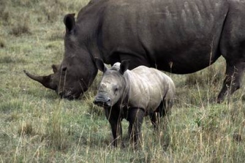 DM LIVE24: 12 MAGGIO 2013. FESTA DELLA MAMMA SU DISCOVERY WORLD