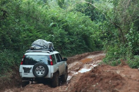 DMLIVE24: 14 LUGLIO 2013. STRADE PERICOLOSE, APPRENDISTATO AD ALTO RISCHIO E GLI INCUBI DELLA NATURA. ECCO LE NOVITA’ DI BBC KNOWLEDGE