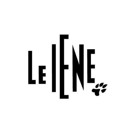 SOPRAVVIVERE: LA FICTION DE LE IENE CON GLI ATTORI DI VIVERE