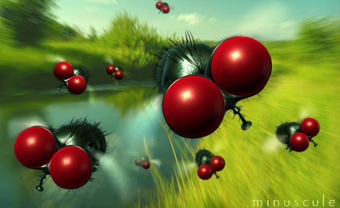 MINUSCULE: LA SERIE ANIMATA DI RAI YOYO CHE SFIDA INUTILMENTE L’ENTOMOFOBIA