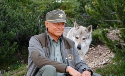 ASCOLTI TV DI DOMENICA 3 NOVEMBRE 2013: VINCE UN PASSO DAL CIELO (13.5-17.23%), SEMPRE MALE IO CANTO (12.12%). RECORD PER GREY’S ANATOMY (4.55%)