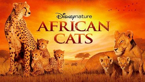 ASCOLTI TV DI MERCOLEDI 25 DICEMBRE 2013: VINCE NATALE A CASTLEBURY HALL (19.68%). MALE AFRICAN CATS (9.83%) E LIGABUE (5.08%)