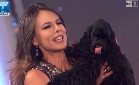 ASCOLTI TV DI SABATO 14 DICEMBRE 2013: ESORDIO AL 18.85% PER SUPERBRAIN. IL PARADISO ALL’IMPROVVISO SI DIFENDE COL 14.48%. BEAUTIFUL CROLLA (12.81%) E AMICI NON VA OLTRE IL 17.77%