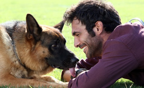 REX 6: ANTICIPAZIONI ULTIMI EPISODI DI LUNEDI 24 MARZO 2014