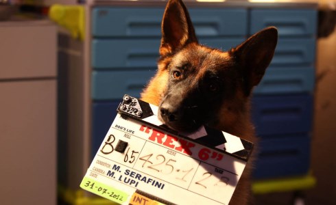 REX 6: ANTICIPAZIONI LUNEDI 17 MARZO 2014