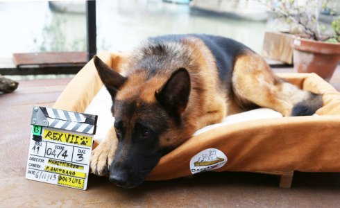 REX 7: ANTICIPAZIONI LUNEDI 28 APRILE 2014