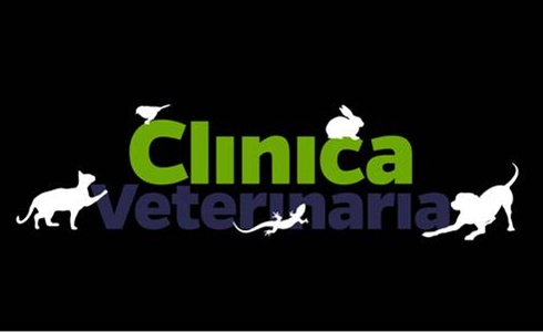 CLINICA VETERINARIA: FATMA RUFFINI TORNA A MEDIASET CON LA SUA NUOVA CASA DI PRODUZIONE FTM ENTERTAINMENT