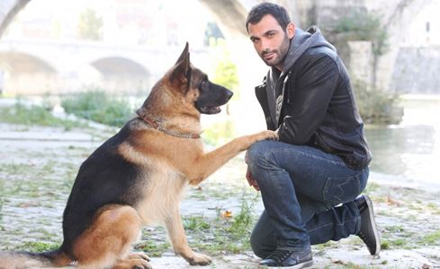 IL TELECOMANDO, LA GUIDA TV DI DM: 5 MAGGIO 2014. GRANDE FRATELLO, REPORT O L’ULTIMA DI REX?