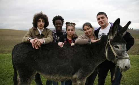 IL TELECOMANDO, LA GUIDA TV DI DM: 26 GIUGNO 2014. LA BELLEZZA DEL SOMARO IN PRIMA TV SU CANALE5