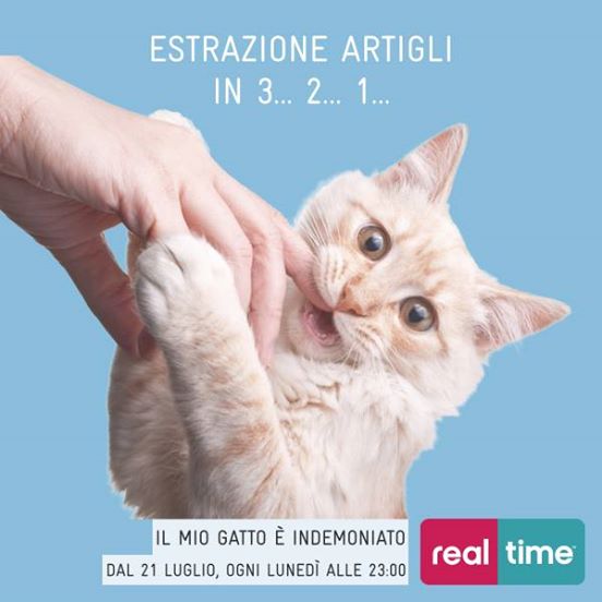 IL MIO GATTO E’ INDEMONIATO: GLI AMICI A QUATTRO ZAMPE PIU’ INGESTIBILI ARRIVANO SU REAL TIME