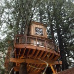 La Mia Nuova Casa sull'Albero