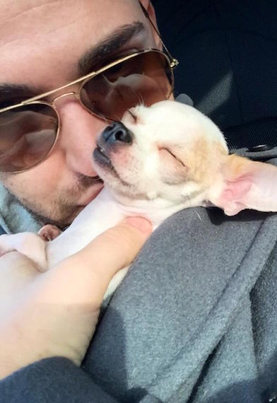 ISOLA DEI FAMOSI 2015: L’EDIZIONE PIU’ SOCIAL PARTE DAI SALUTI VIRTUALI DEI SUOI PROTAGONISTI