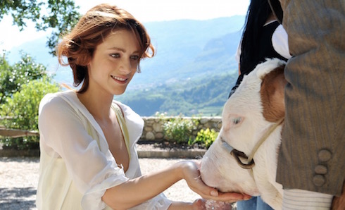 ASCOLTI TV DI MARTEDI 24 MARZO 2015: CRESCE LA DAMA VELATA (20.77%), LO SHOW DEI RECORD FERMO AL 14.76%. RECORD MATTINO CINQUE CON L’ISOLA (18.94%)