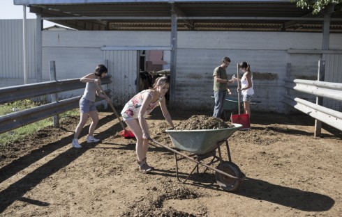IL CONTADINO CERCA MOGLIE: ELIMINAZIONI, TENSIONI E L’ARRIVO DI UNA NUOVA ASPIRANTE MOGLIE NELLA QUARTA PUNTATA