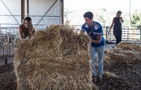 IL CONTADINO CERCA MOGLIE: GIUSEPPE RISPEDISCE IN CITTÁ UNA TRA ALICE, VALERIA E VERONICA