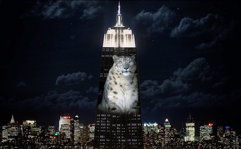 RACING EXTINCTION: LA TV PROVA A CAMBIARE IL MONDO