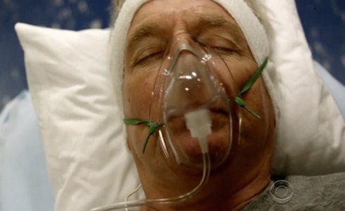 NCIS: LA TREDICESIMA STAGIONE AL VIA SU RAI2. GIBBS E’ VIVO O MORTO?