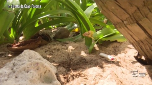 ISOLA DEI FAMOSI 2016: DI CHI E’ L’ACCENDINO TROVATO A CAYO PALOMA?