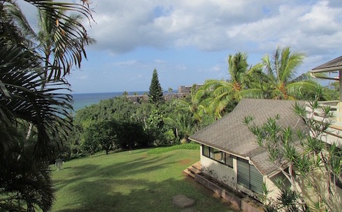 FINE LIVING: AGOSTO TRA HAWAII E MEGA TERRAZZE