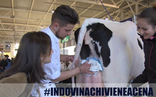 Indovina chi viene a cena, inchieste su ambiente, animali e modelli alimentari sostenibili