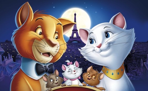 PROGRAMMI TV DI STASERA, SABATO 31 DICEMBRE 2016. MUSICA, CIRCO, CINEMA, E CARTONI PER ASPETTARE IL 2017 DAVANTI ALLA TV