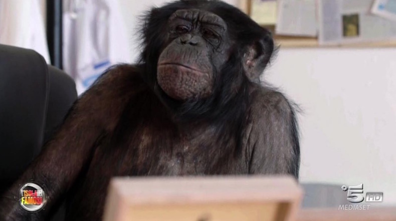 ISOLA DEI FAMOSI 2017: CHI É LA DOTTORESSA TIBI