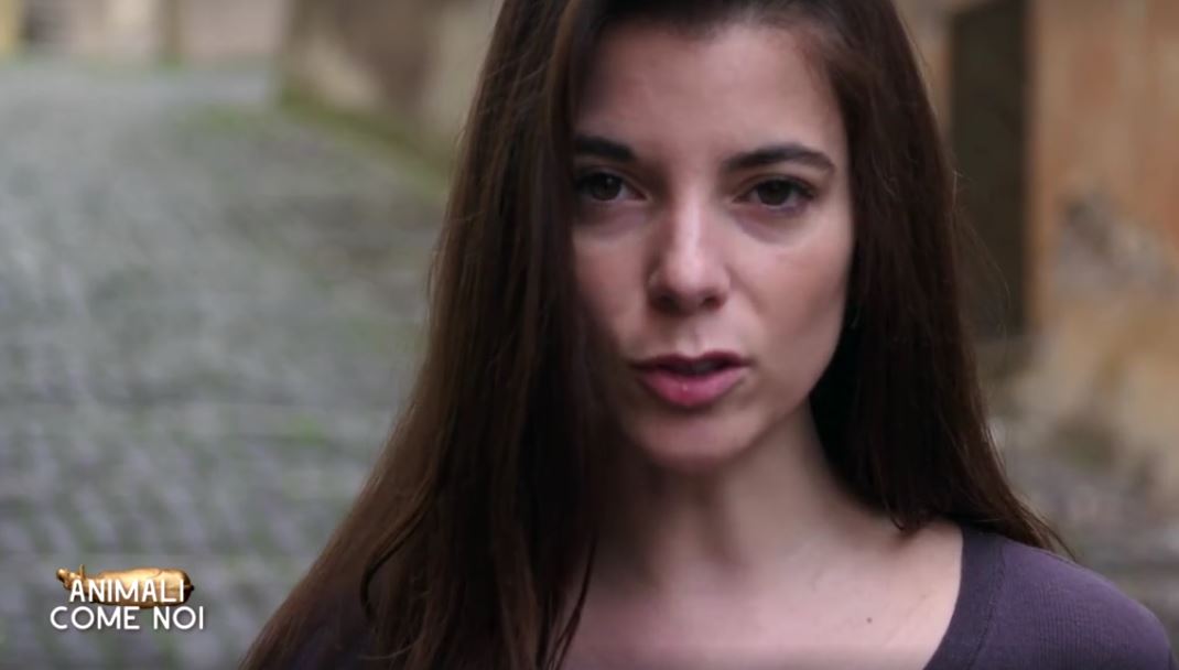Animali come noi: Giulia Innocenzi torna negli allevamenti lager per la seconda serata di Rai2 (Video)
