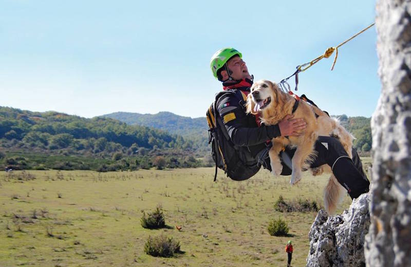 Cani Eroi nel sabato mattina di Rai2