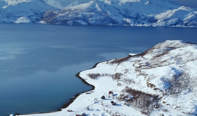 Balena di Plastica: su Sky Tg24 la storia del cetaceo ucciso dai sacchetti