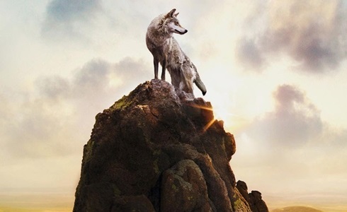 Programmi TV di stasera, lunedì 12 marzo 2018. Su Rai3 il film «L’ultimo lupo»