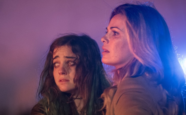 Ascolti TV | Lunedì 21 maggio 2018. Il Capitano Maria vince con il 23.8%, The Legend of Tarzan al 10.5%