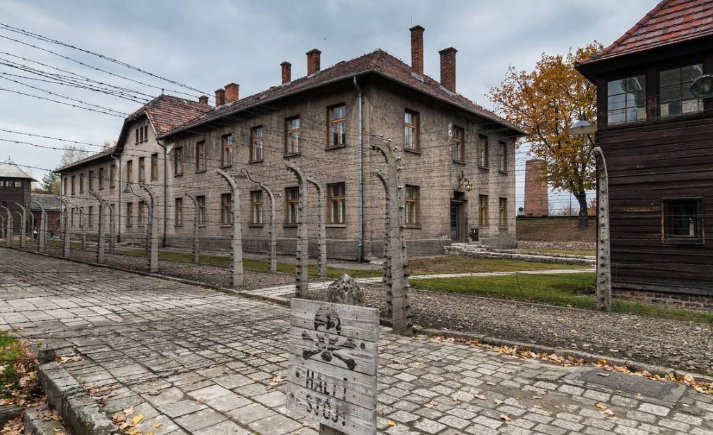 Giornata della Memoria 2019: gli speciali appuntamenti di Rai, Mediaset, La7 e Sky